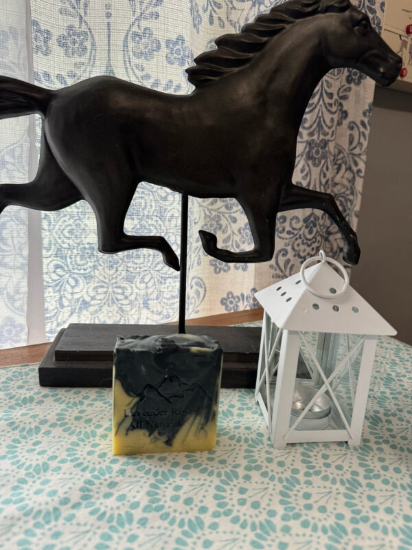 Charcoal Patchouli exfoliating body bar scrub