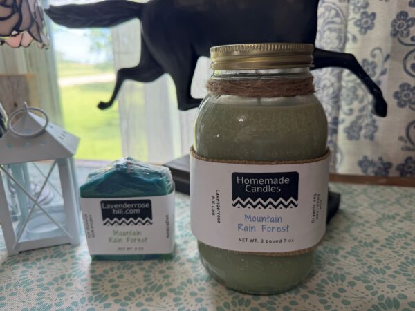 Mountain Rain Forests candle