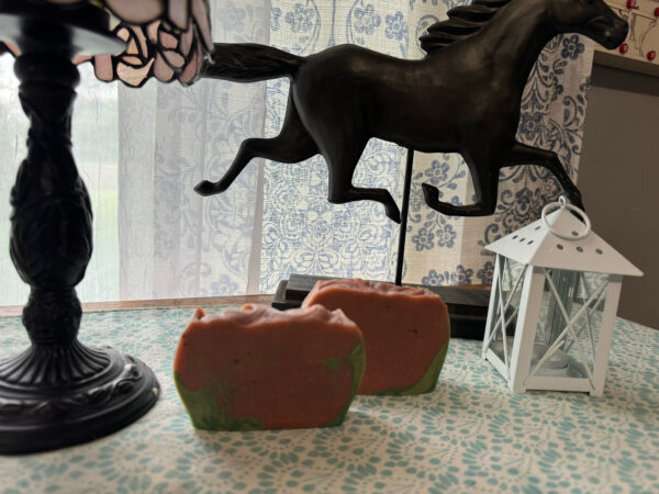 Watermelon Plain Goats milk Body bar soap