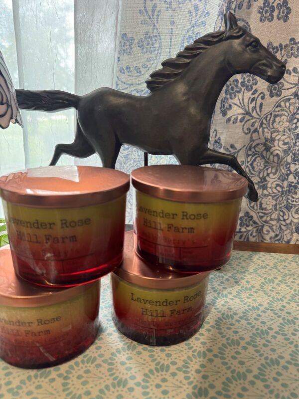 Hollie Berries soy candle