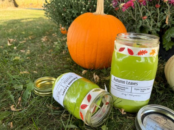 Sold Out Autumn Leaves soy candle