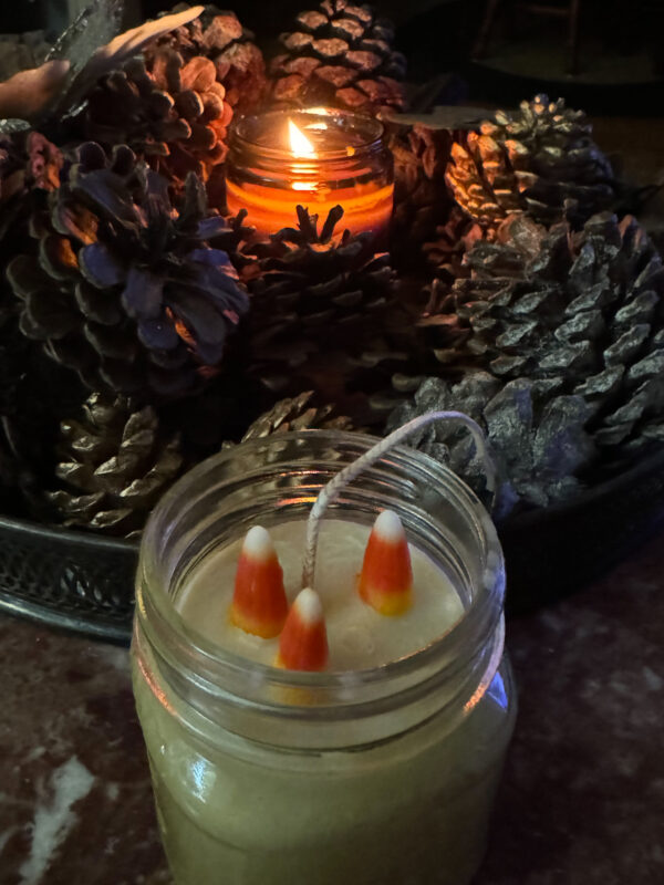 Sold Out We can make special orders only. Candy Corn soy candle