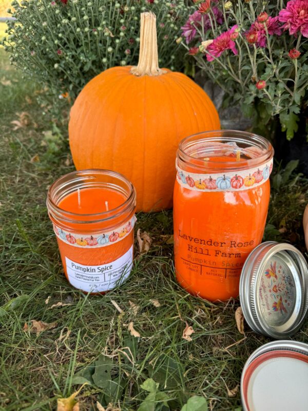Pumpkin Spice soy candle