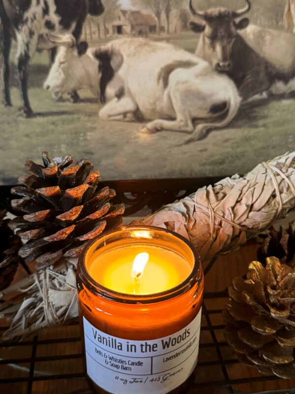 Vanilla In the Woods soy candle