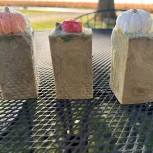 Apply Pumpkin Jolly Rancher Goats Milk Body Soap