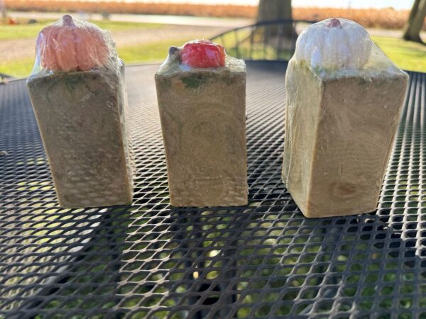 Apply Pumpkin Jolly Rancher Goats Milk Body Soap