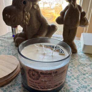 Mustang Colt  Coconut Apricot wax blend of vanilla, patchouli, and oak moss