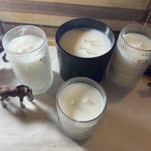 Iced Vanilla Woods candle