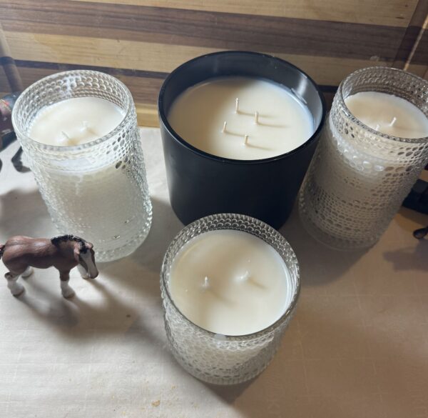 Iced Vanilla Woods candle