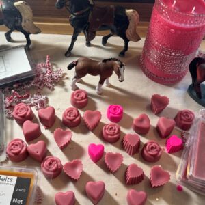 Our Hand-Poured Wax Melts!
