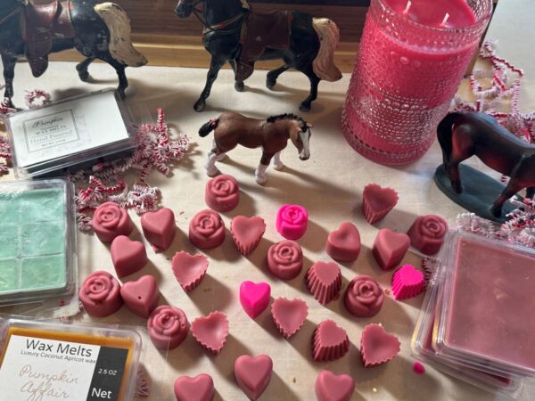 Our Hand-Poured Wax Melts!