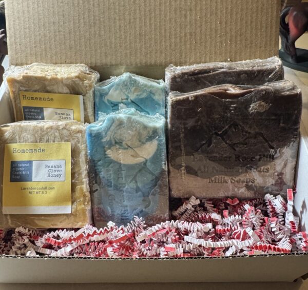 Box of 6 goats milk soaps Winter Edition
